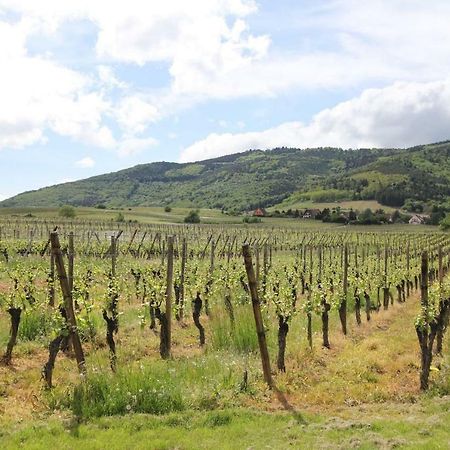 Gite L Ecrin - Coeur De Riquewihr - 4 Personnes Экстерьер фото